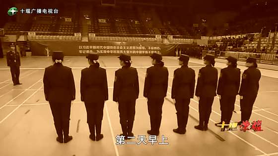 創(chuàng)業(yè)是一條無比艱辛的路，創(chuàng)新更是無限風(fēng)光在險(xiǎn)峰。在男性為主導(dǎo)的商海里，女性創(chuàng)業(yè)創(chuàng)新需要鼓足十萬分的勇氣和力量，是挑戰(zhàn)未來成功的小概率事件。而十堰姑娘楊麗便是這小概率事件中的一個(gè)傳奇，也是女性創(chuàng)業(yè)創(chuàng)新的榜樣。今天就來認(rèn)識(shí)這位傳奇女性-興千田集團(tuán)楊麗。